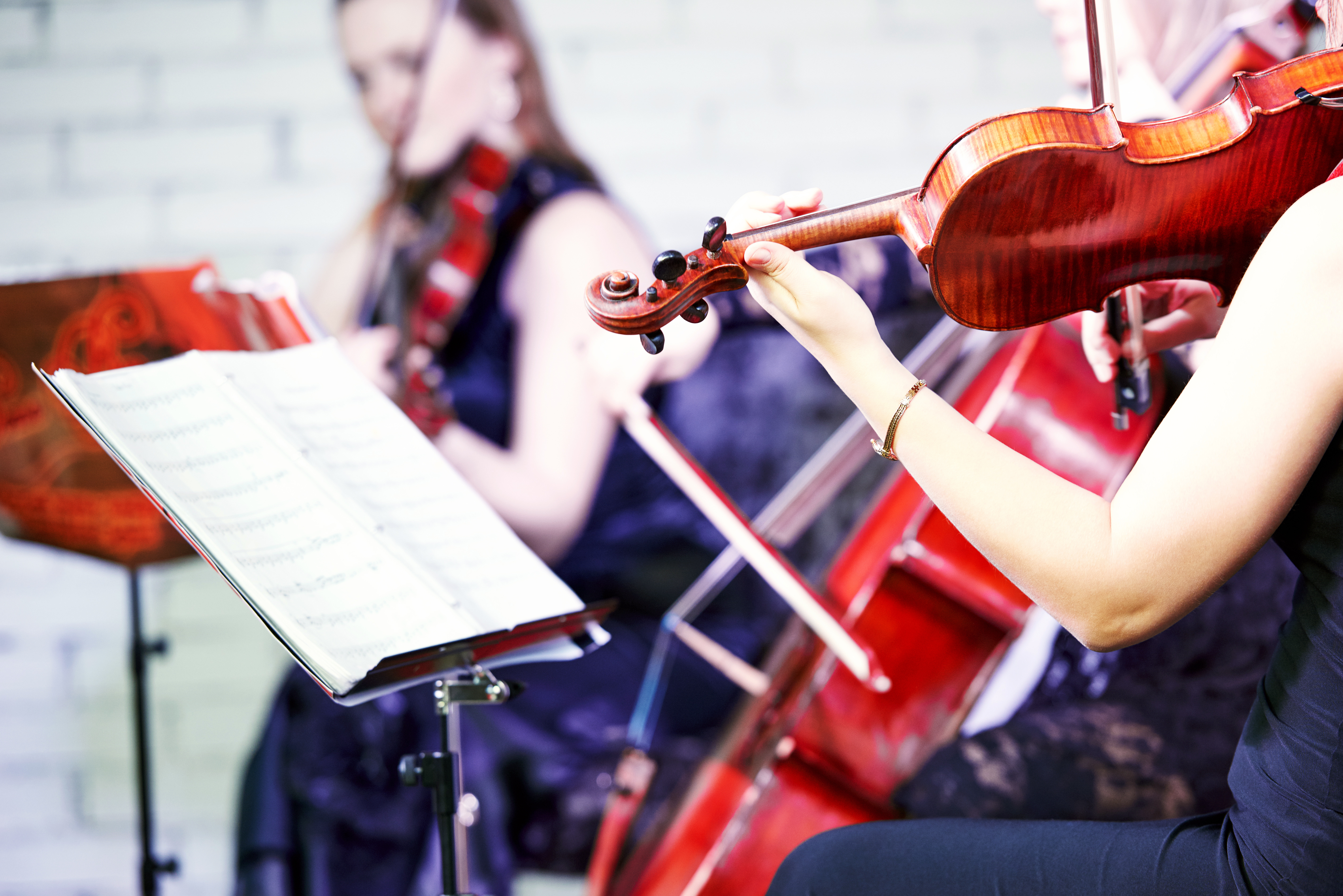 Il ciclo di concerti dedicati a Beethoven e non solo - dal 18 ottobre al 4 novembre 2018